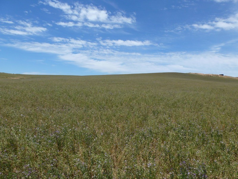 327 Tatyoon North Road, Ararat VIC 3377