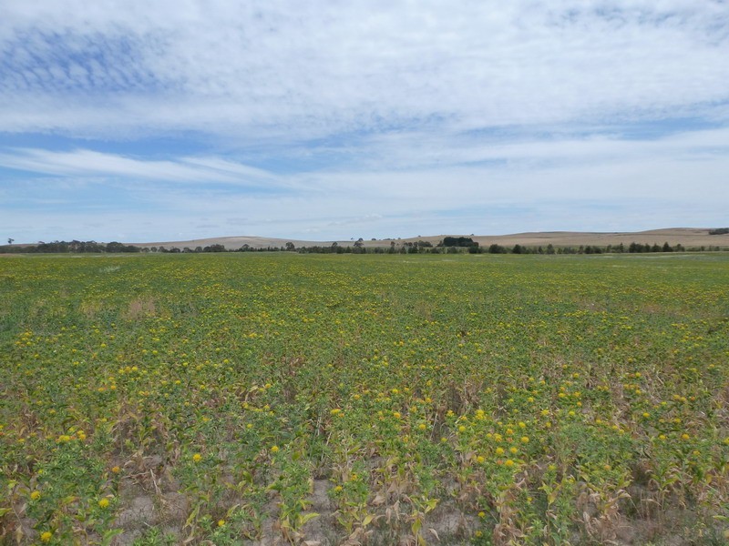 327 Tatyoon North Road, Ararat VIC 3377