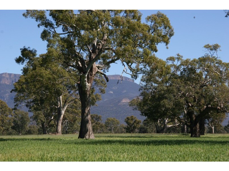 0 Moyston-Dunkeld Road, Moyston VIC 3377