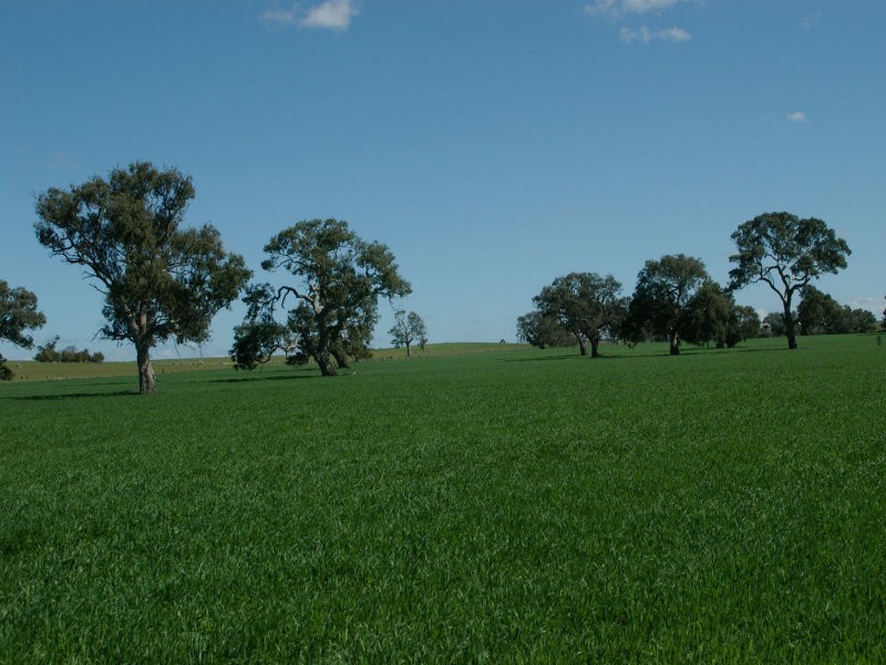 873 Willaura-Wickliffe Road, Willaura VIC 3379