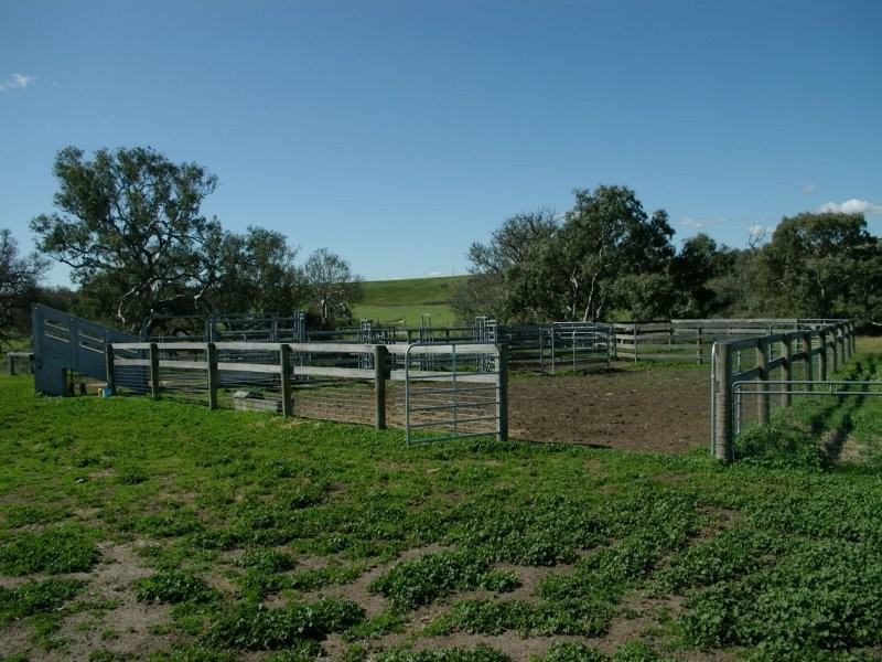 873 Willaura-Wickliffe Road, Willaura VIC 3379