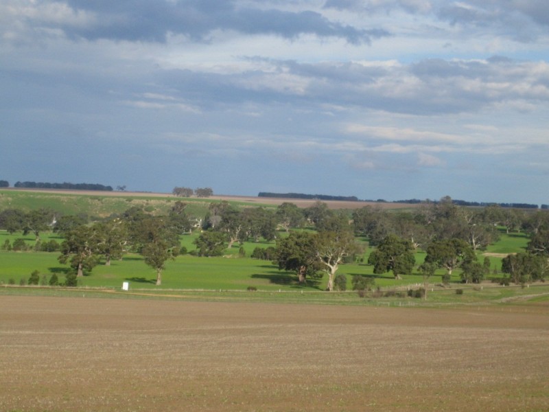 873 Willaura-Wickliffe Road, Willaura VIC 3379