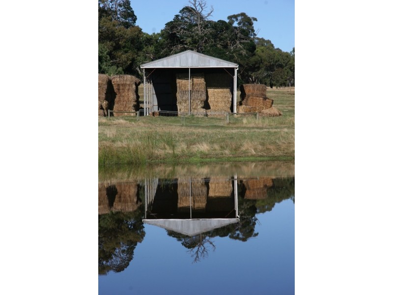 873 Willaura-Wickliffe Road, Willaura VIC 3379