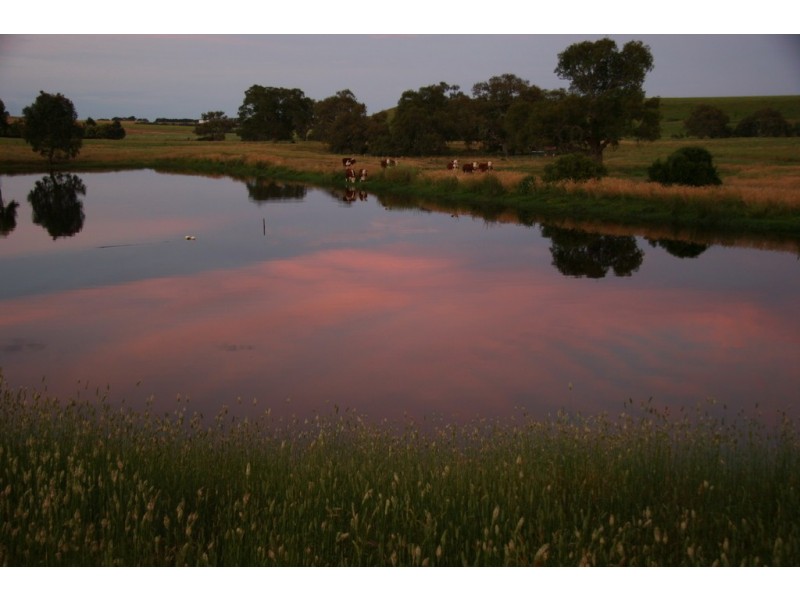 873 Willaura-Wickliffe Road, Willaura VIC 3379