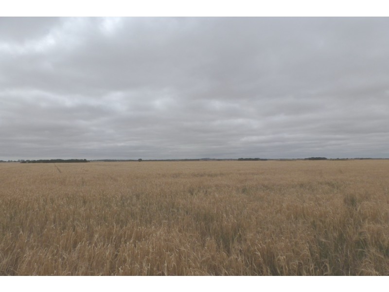 0 Mount William Road, Tatyoon VIC 3378