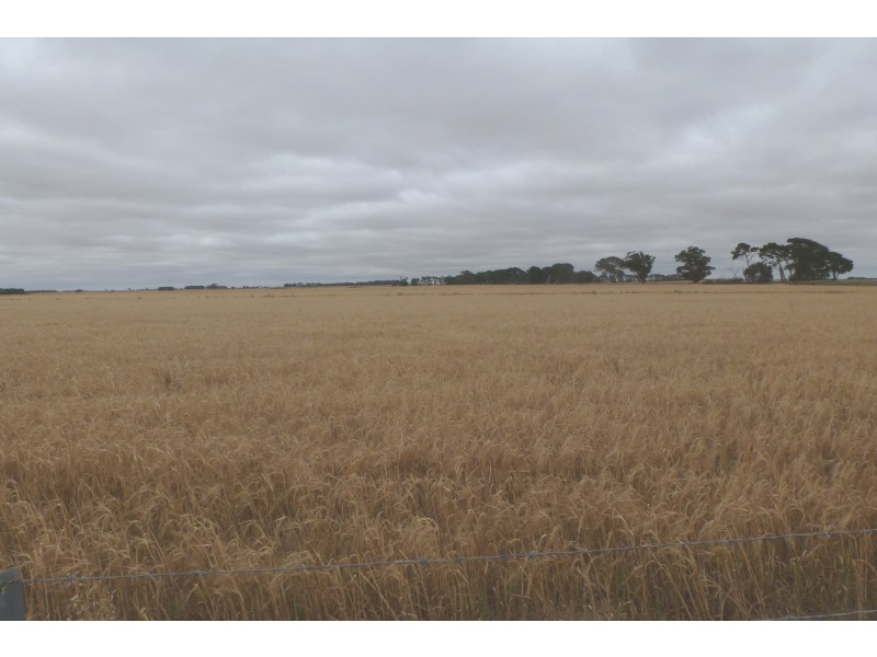 0 Mount William Road, Tatyoon VIC 3378