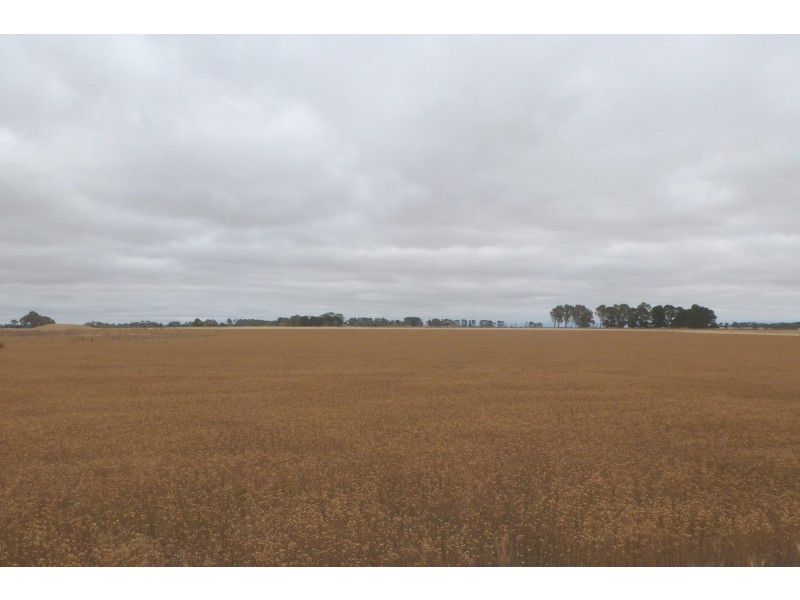 0 Mount William Road, Tatyoon VIC 3378