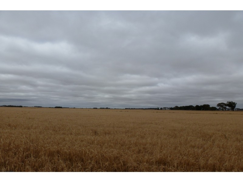 0 Mount William Road, Tatyoon VIC 3378