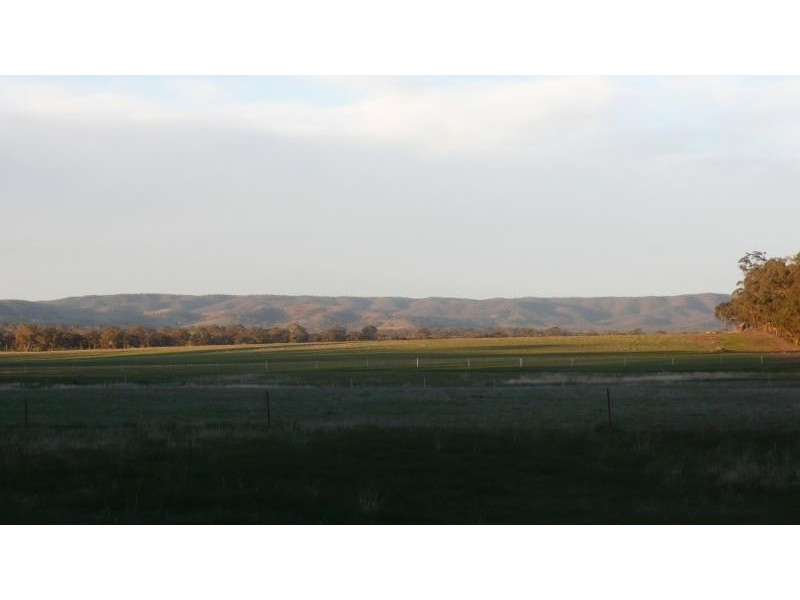 289 Landsborough-Barkly Road, Landsborough VIC 3384