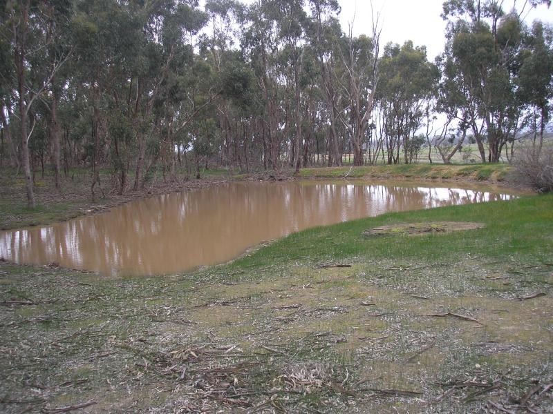 289 Landsborough-Barkly Road, Landsborough VIC 3384
