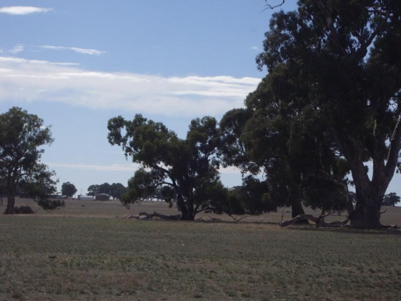 - Grampians Rd, Halls Gap VIC 3381