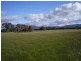 - Grampians Rd, Halls Gap VIC 3381