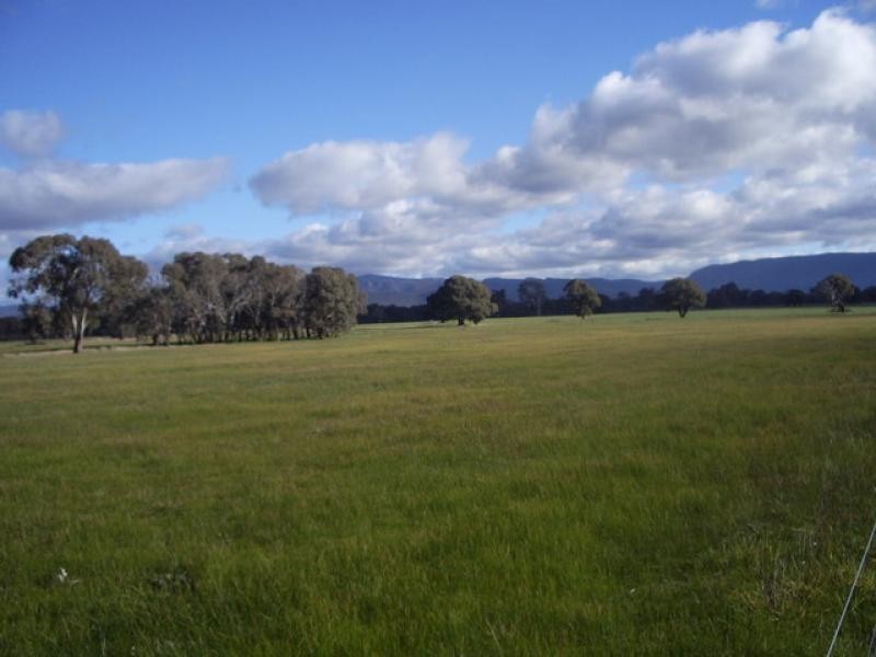 - Grampians Rd, Halls Gap VIC 3381