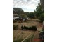 43 McNeil St, Ararat VIC 3377