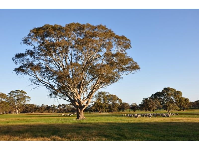 - Saw Pit Flat Road, Ararat VIC 3377