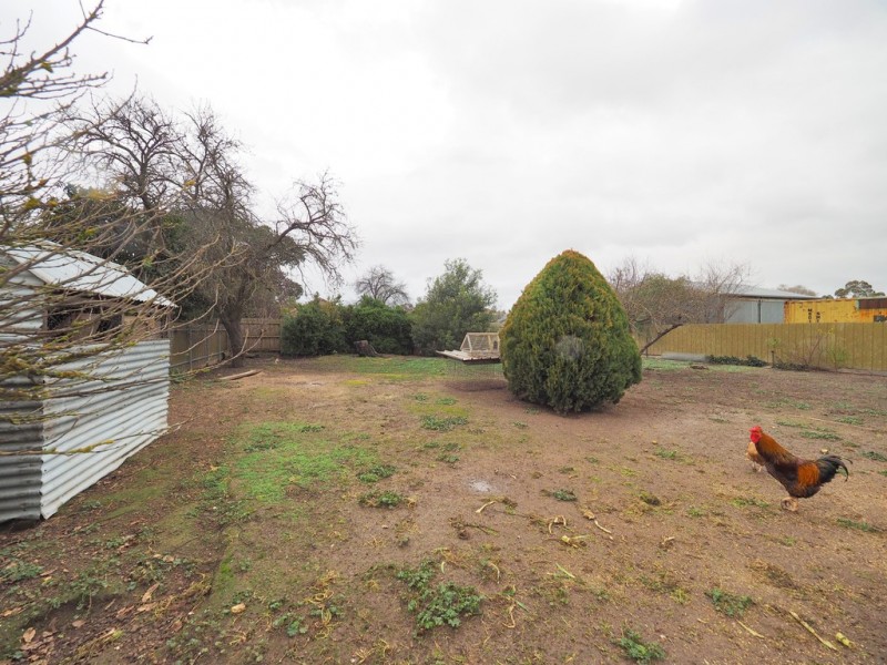 11 Warranooke St, Willaura VIC 3379