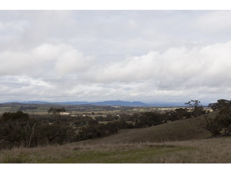 124 Petticoat Gully Road, Armstrong VIC 3377