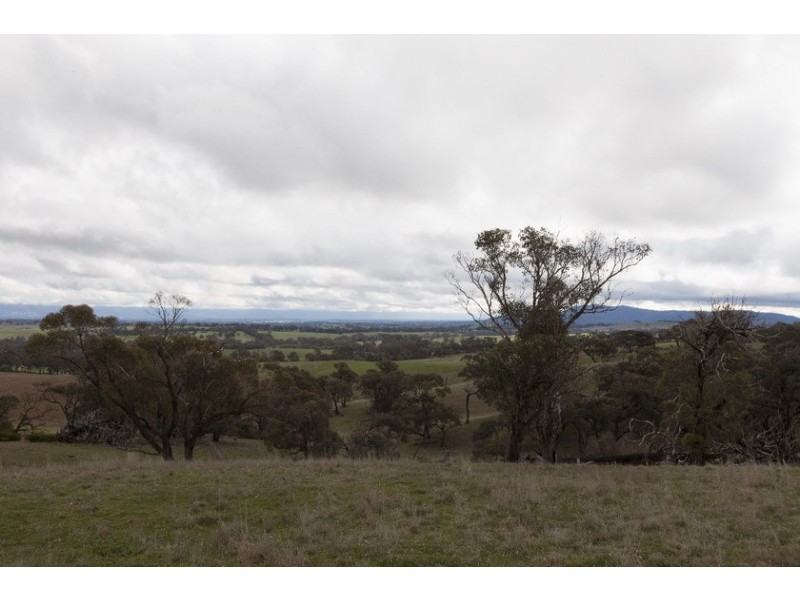 124 Petticoat Gully Road, Armstrong VIC 3377