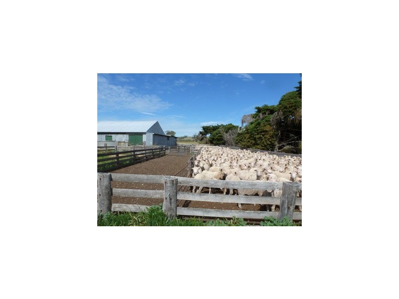 0 Big Hill Road, Warrak VIC 3377