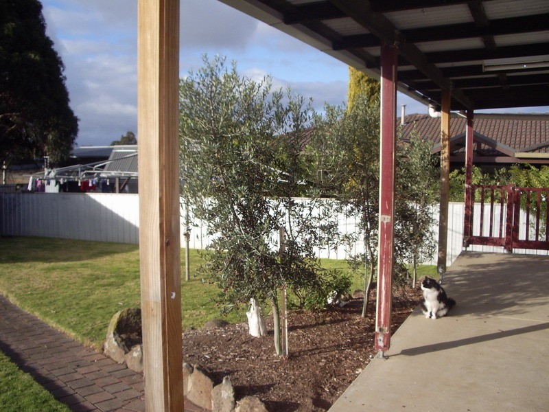 15 Hakea Street, Ararat VIC 3377