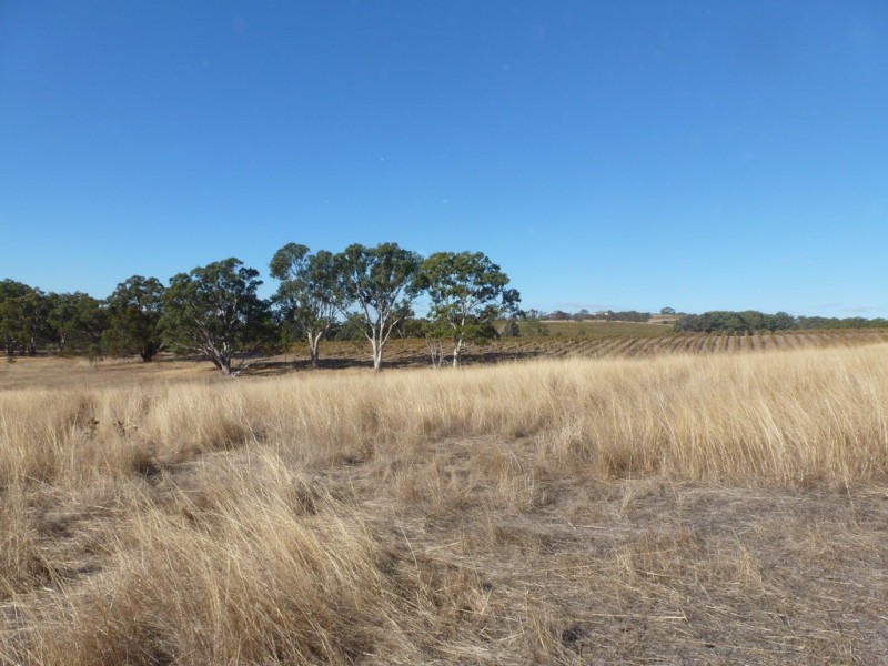 0 Moyston-Great Western Rd, Great Western VIC 3377
