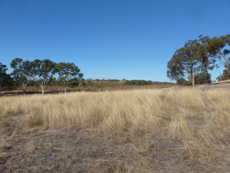 0 Moyston-Great Western Rd, Great Western VIC 3377