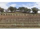197 Mt Cole Road, Warrak VIC 3377