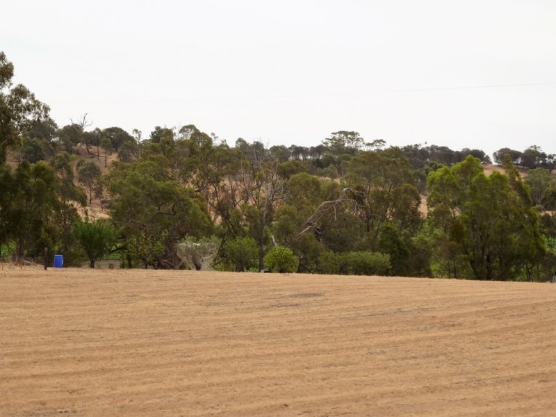 142 Westgate Road, Armstrong, Ararat VIC 3377