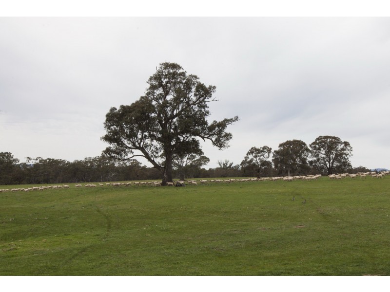 0 Woodlands Road, Crowlands, Ararat VIC 3377