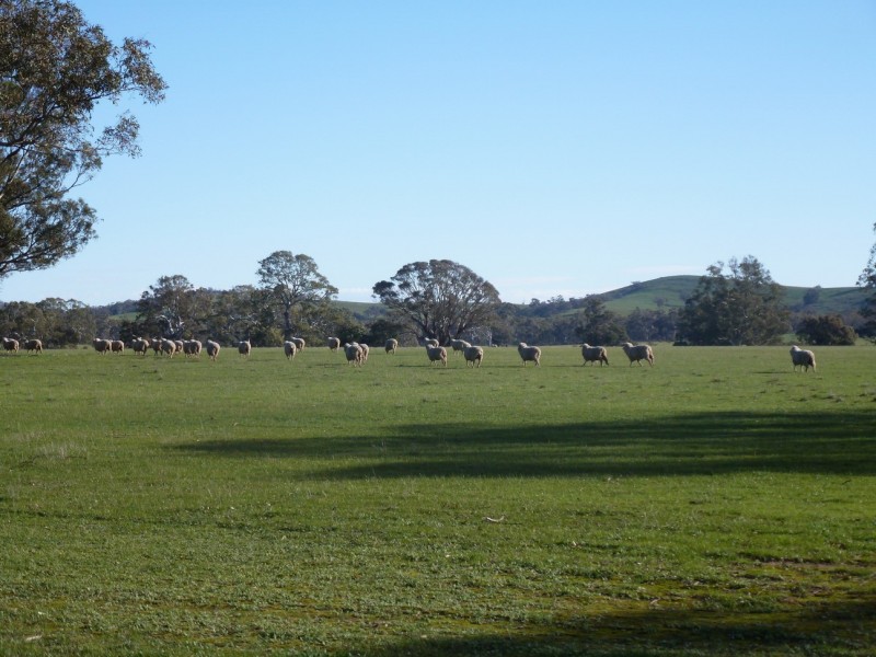 0 Woodlands Road, Crowlands, Ararat VIC 3377