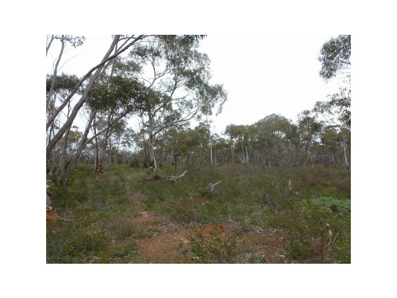 Lot 17 Reynolds Road, Greens Creek VIC 3381