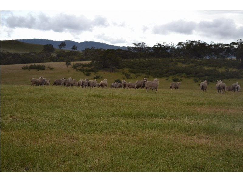 0 Landsborough Rd, Landsborough VIC 3384