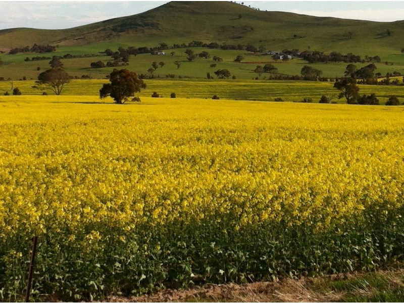 0 Burrumbeep Road, Maroona VIC 3377