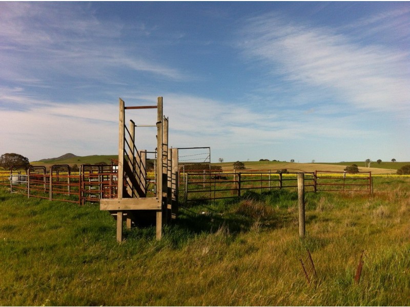 0 Burrumbeep Road, Maroona VIC 3377