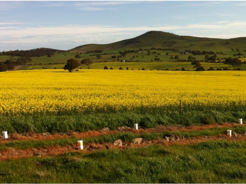 0 Burrumbeep Road, Maroona VIC 3377