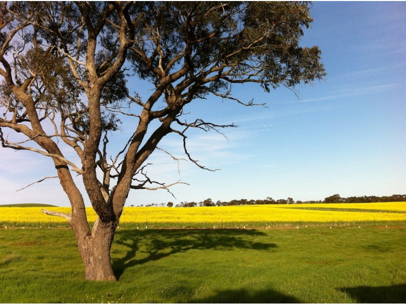 0 Burrumbeep Road, Maroona VIC 3377