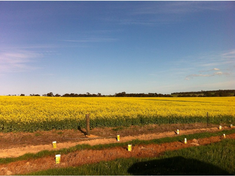 0 Burrumbeep Road, Maroona VIC 3377