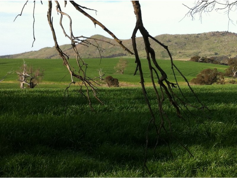 0 Burrumbeep Road, Maroona VIC 3377