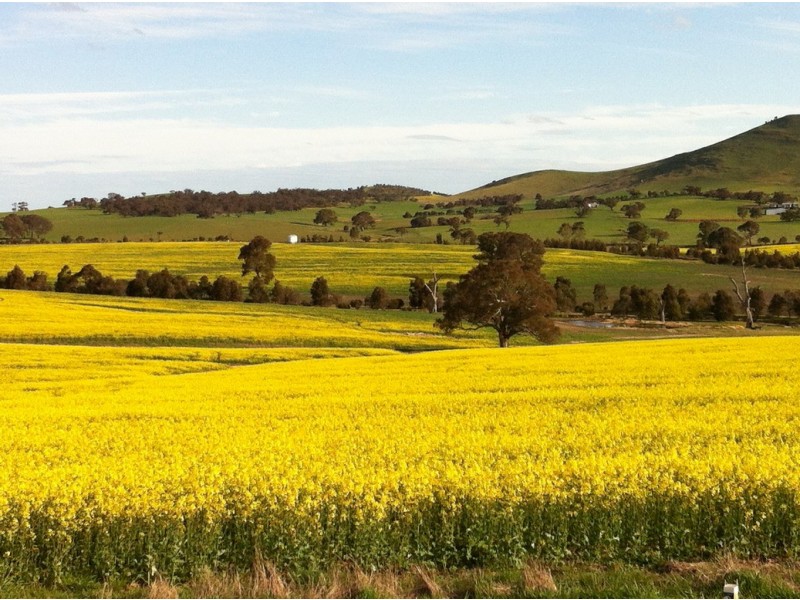 0 Burrumbeep Road, Maroona VIC 3377