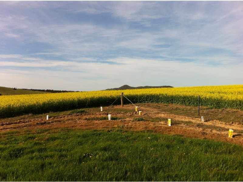 0 Burrumbeep Road, Maroona VIC 3377