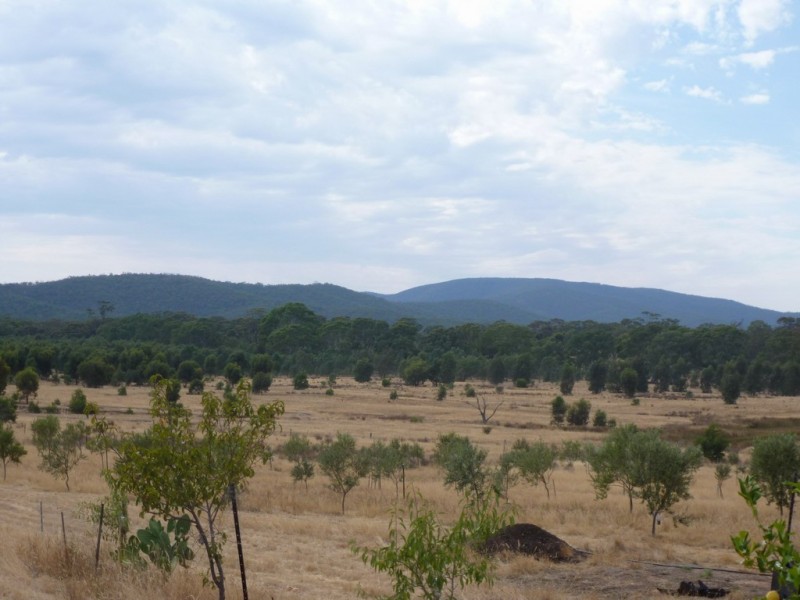 59 Forestry Road, Landsborough VIC 3384