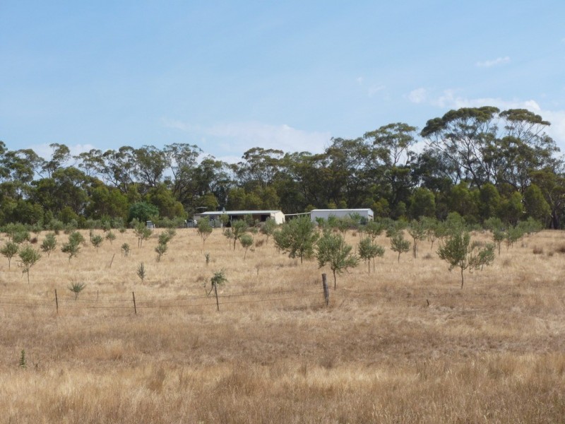 59 Forestry Road, Landsborough VIC 3384