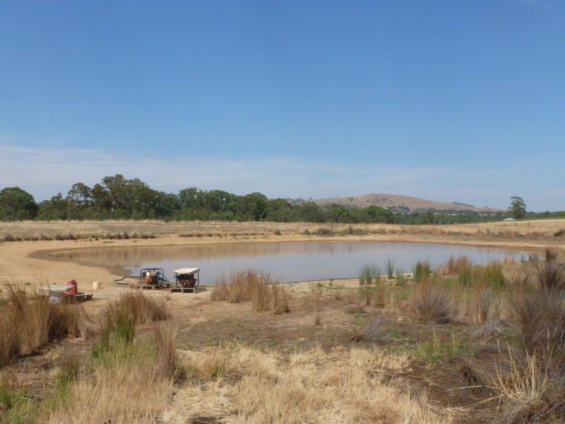 59 Forestry Road, Landsborough VIC 3384