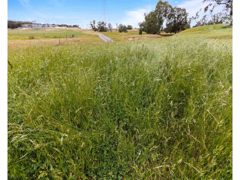 ‘ Glendhu Hills ‘ Spring Flat Road, Crowlands VIC 3377