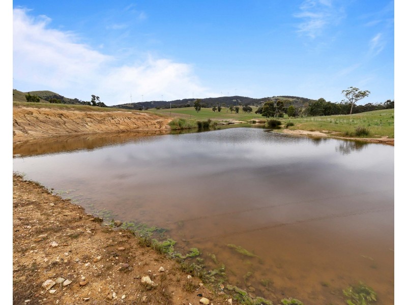 ‘ Glendhu Hills ‘ Spring Flat Road, Crowlands VIC 3377