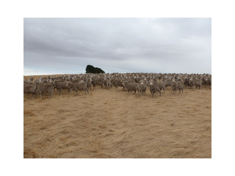 0 Christies Lane, Wickliffe VIC 3379