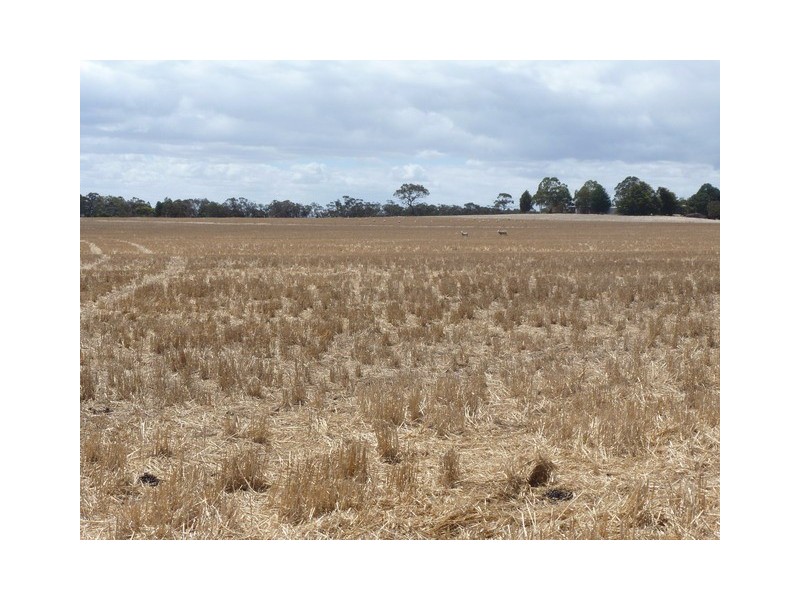 0 Christies Lane, Wickliffe VIC 3379