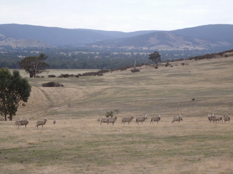 0 Government Road, Elmhurst VIC 3469