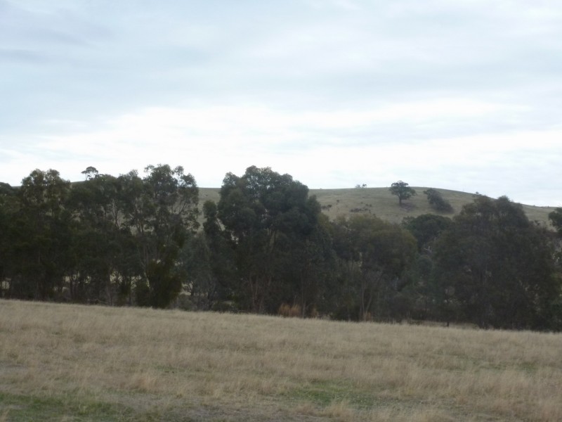 0 Government Road, Elmhurst VIC 3469