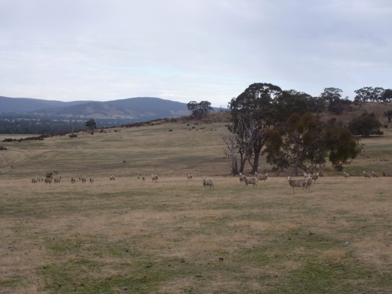 0 Government Road, Elmhurst VIC 3469